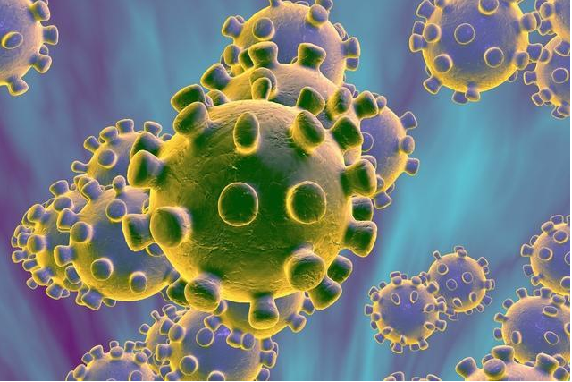 关于新型冠状病毒疫情病毒的来源问题